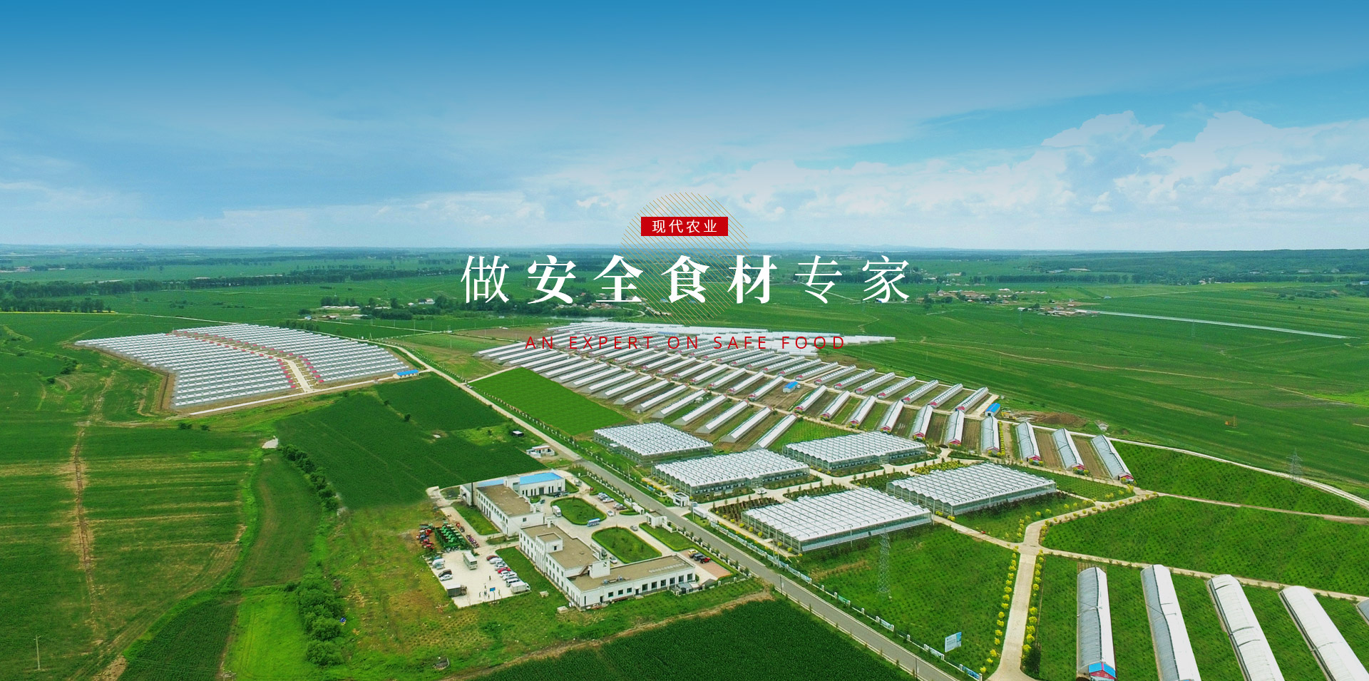 TG反波胆·(中国区)官方网站