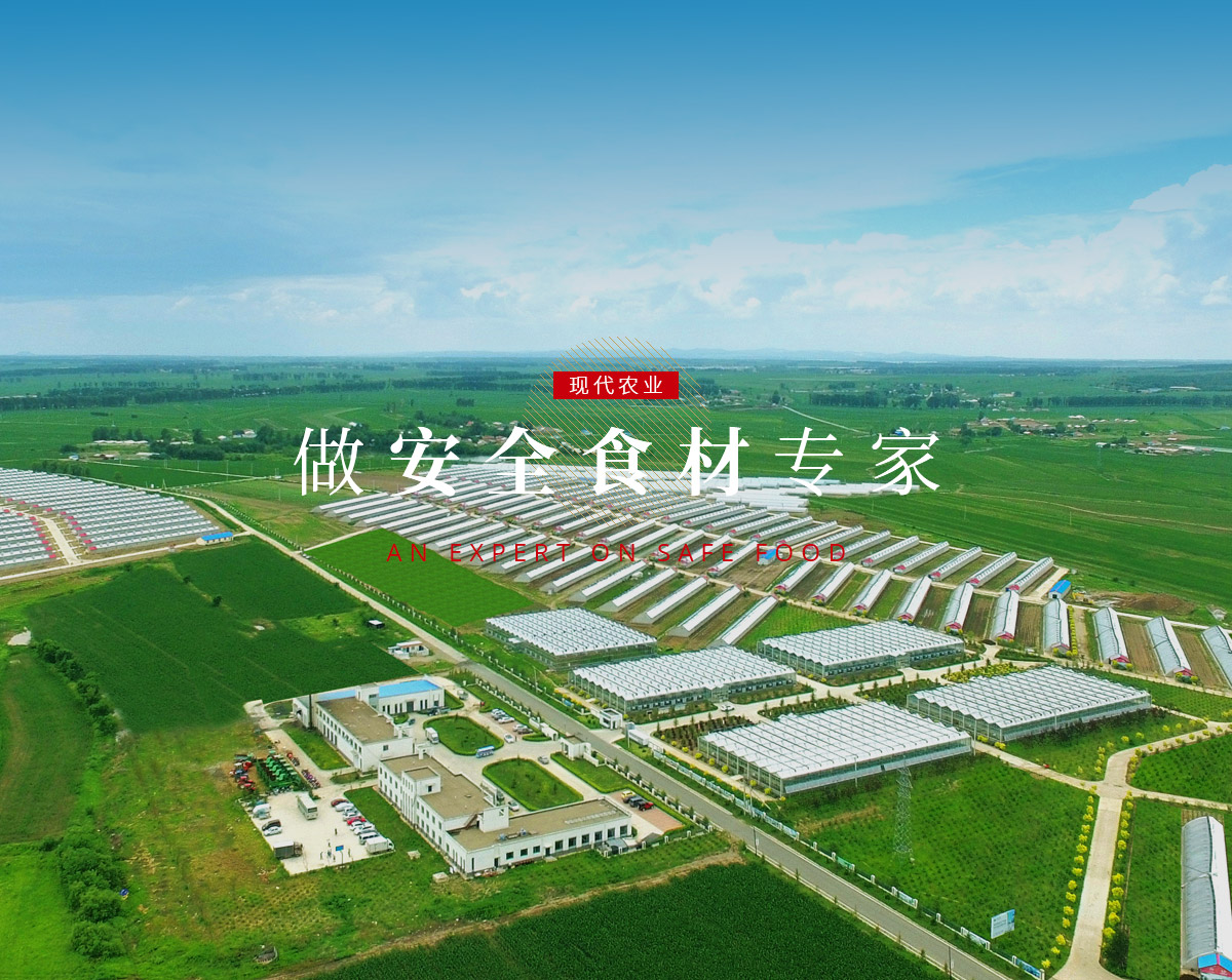 TG反波胆·(中国区)官方网站