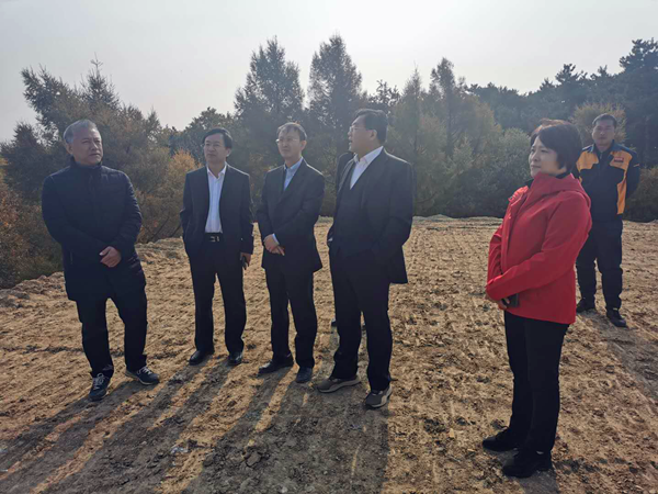 27.王岩董事长视察项目工地情形_副本.png