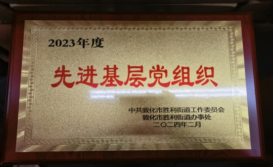 2024年2月1日，，，，，物业总公司敦化项目党支部被授予“2023年度先进下层党组织”声誉称呼_副本.jpg